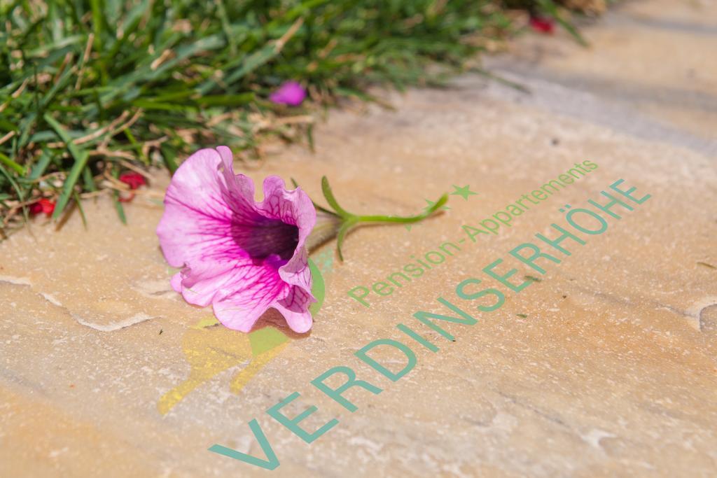 Pension Verdinserhoehe Скена Экстерьер фото